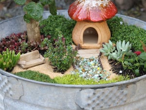 DIY Fairy Garden