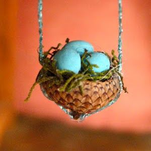 Acorn Bird's Nest