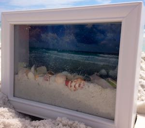 Ocean Shadow Box