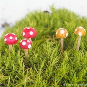 Mini Toadstools