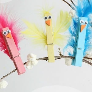 Clothespin Bird Craft for kids