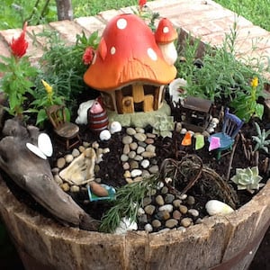 Fairy Garden