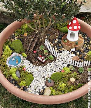 Bonsai Tree Fairy Garden