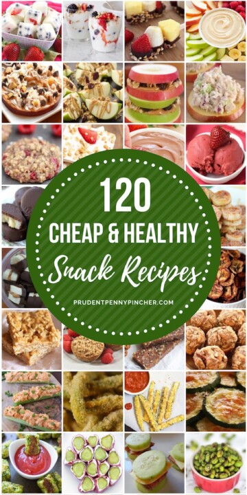 120 Cheap and Healthy Snack Recipes - Prudent Penny Pincher