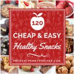 120 Cheap and Healthy Snacks