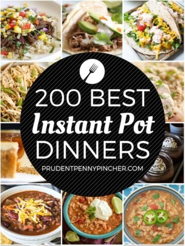 60 Cheap and Healthy Instant Pot Recipes - Prudent Penny Pincher