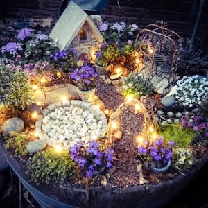 magical lights in the fairy garden