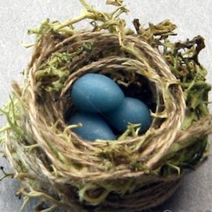 Miniature Birds Nests