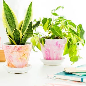 dollar tree Watercolor Planter craft 