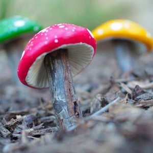 Magical Clay Toadstools