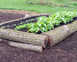 Cama de jardín elevada con troncos