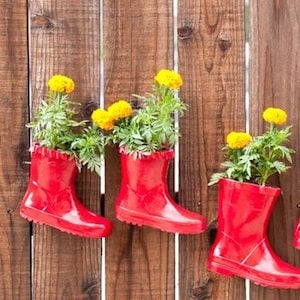 Rain Boot Planters on fence