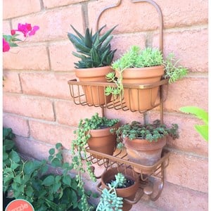 Shower Caddy Wall Planter