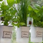 120 Cheap and Easy DIY Garden Ideas - Prudent Penny Pincher