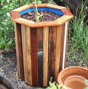 55 Gallon Drum Planter