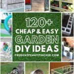 120 Cheap and Easy DIY Garden Ideas