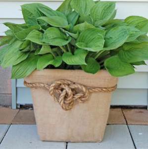 120 Cheap and Easy DIY Garden Ideas - Prudent Penny Pincher