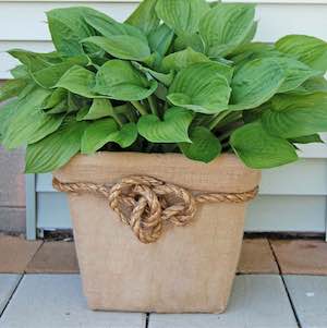 Laundry Basket garden Planter 