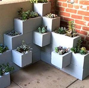 Succulent Planter Using Cinder Blocks