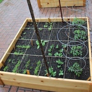 Simple Raised diy garden Bed Boxes