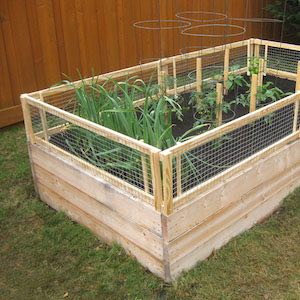 DIY Raised Bed with Removable Pest Gate