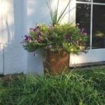 120 Cheap and Easy DIY Garden Ideas - Prudent Penny Pincher