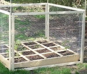 diy Raised garden Planter with Wooden Chicken Wire Fence 