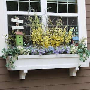 Window Box