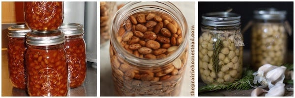 Canning Recipes for Beans