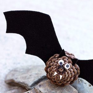 Pinecone Bat