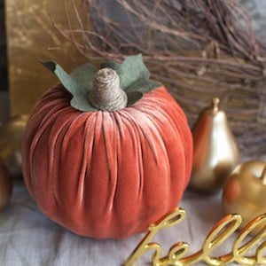 Manualidad de otoño con calabaza de terciopelo para adultos