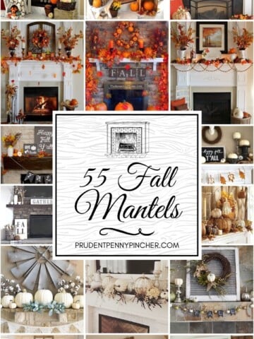 https://www.prudentpennypincher.com/wp-content/uploads/2018/07/fall-mantels-2-360x480.jpg