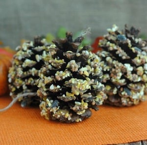 Homemade Pinecone Bird Feeder