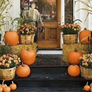 halloween Orange Mums and Pumpkins for the porch stairs