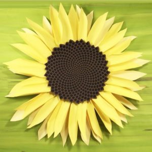 Paper Sunflower 