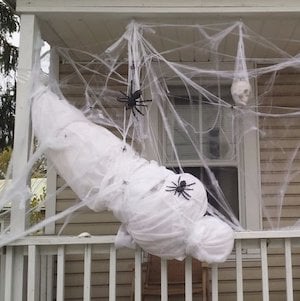 Life-Sized Spider Victim