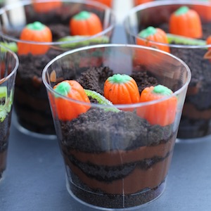 Pumpkin Patch Dirt Cups 