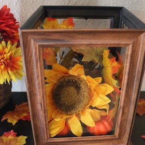 Dollar Tree Rustic Fall Lantern decoration