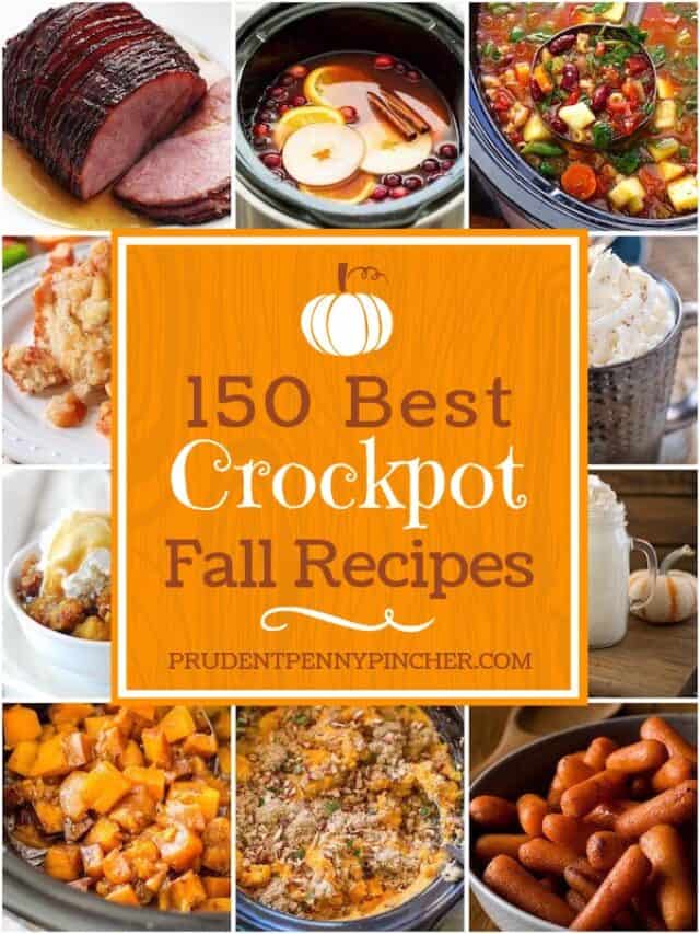 fall crockpot recipes