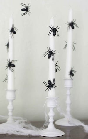 Spider Candles