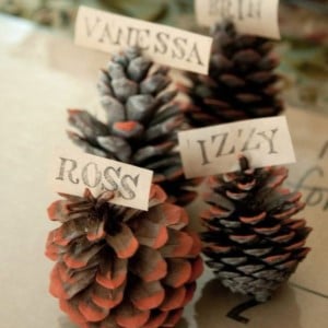 Pine Cone Place Card