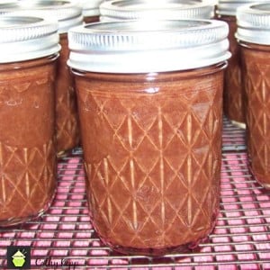 Prize Winning Apple Butter Christmas Food Gift