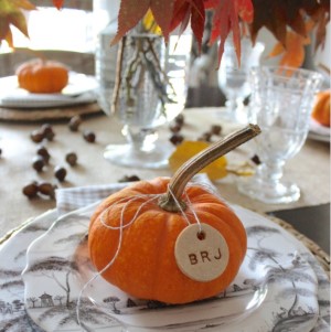 Mini Pumpkin Place cards