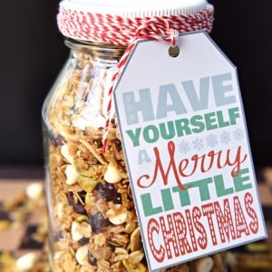 GIngerbread Granola food Gift for christmas