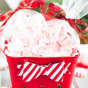 DIY Peppermint Soap