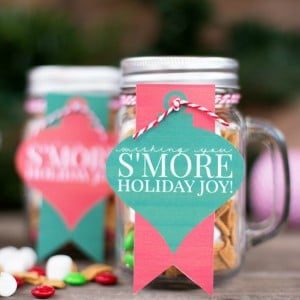 S’mores Mason Jar Christmas Food Gift