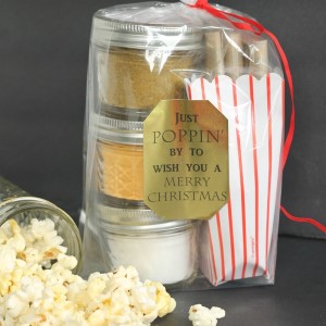 Gourmet Popcorn Christmas Food Gift