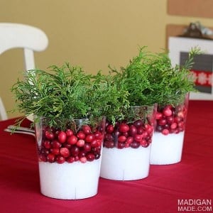 Easy Cranberry Christmas table Centerpiece