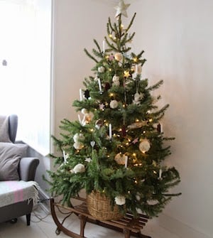 Small Christmas Tree on a Sled