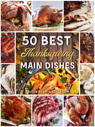 50 Main Dish Thanksgiving Dinner Recipes